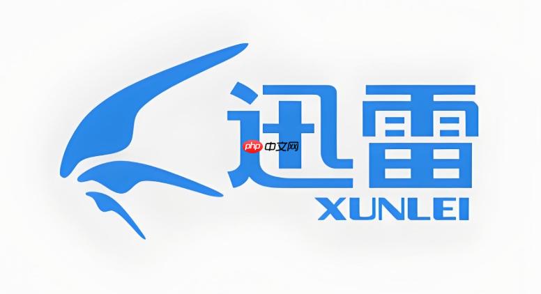 迅雷浏览器手机版在线访问 迅雷移动端网页版官方网址