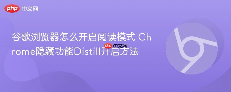 谷歌浏览器怎么开启阅读模式 Chrome隐藏功能Distill开启方法  第1张