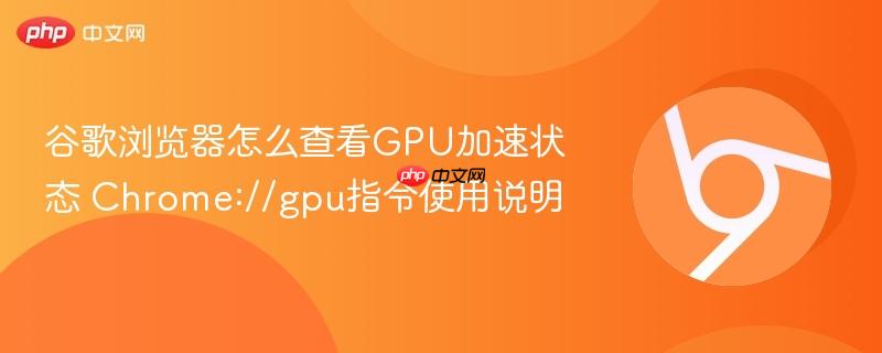 谷歌浏览器怎么查看GPU加速状态 Chrome://gpu指令使用说明  第1张