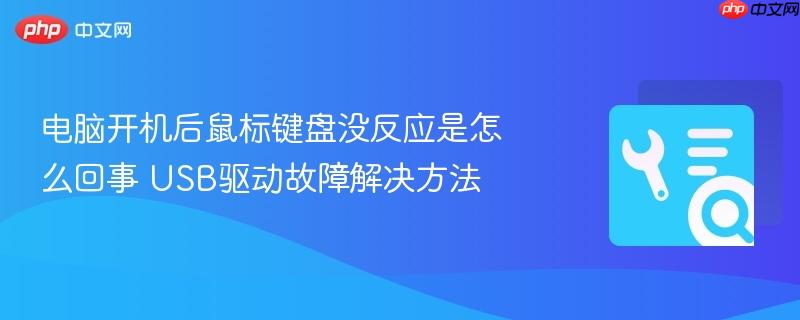 电脑开机后鼠标键盘没反应是怎么回事 USB驱动故障解决方法  第1张