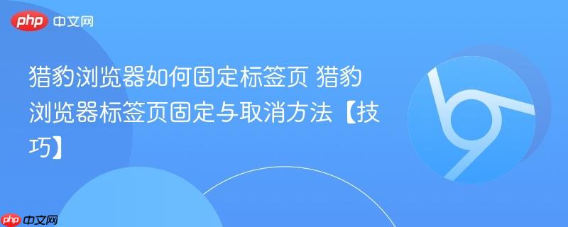 猎豹浏览器如何固定标签页 猎豹浏览器标签页固定与取消方法【技巧】  第1张