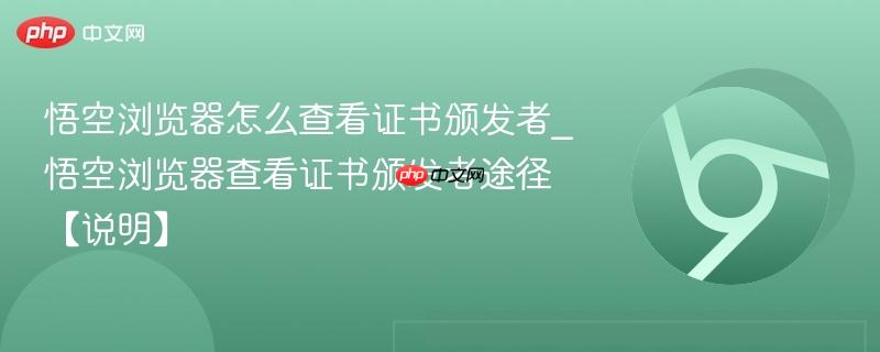悟空浏览器怎么查看证书颁发者_悟空浏览器查看证书颁发者途径【说明】  第1张