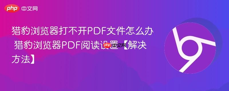 猎豹浏览器打不开PDF文件怎么办 猎豹浏览器PDF阅读设置【解决方法】  第1张