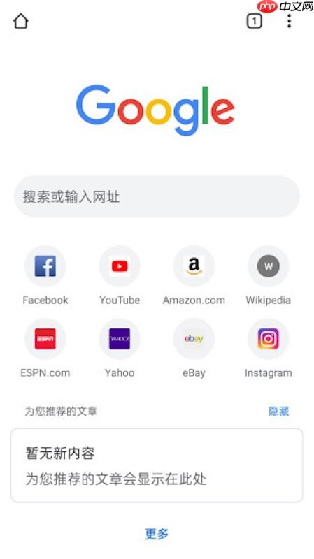 国内google浏览器怎么用访问_谷歌Chrome浏览器国内正常使用方法指南  第1张