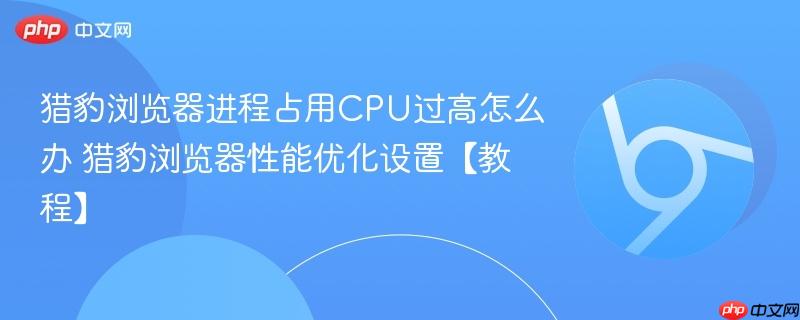 猎豹浏览器进程占用CPU过高怎么办 猎豹浏览器性能优化设置【教程】  第1张