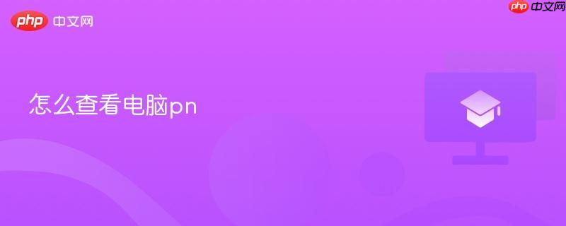 怎么查看电脑pn  第1张