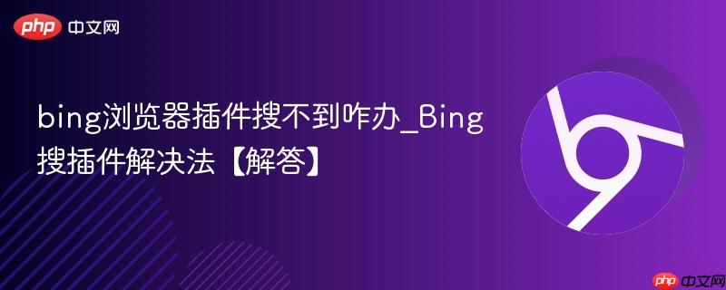 bing浏览器插件搜不到咋办_Bing搜插件解决法【解答】  第1张