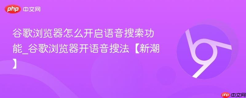 谷歌浏览器怎么开启语音搜索功能_谷歌浏览器开语音搜法【新潮】  第1张