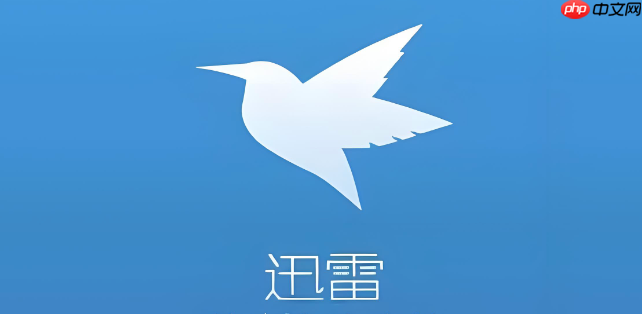 迅雷浏览器官方网站登录通道 迅雷浏览器网页版安全入口  第1张