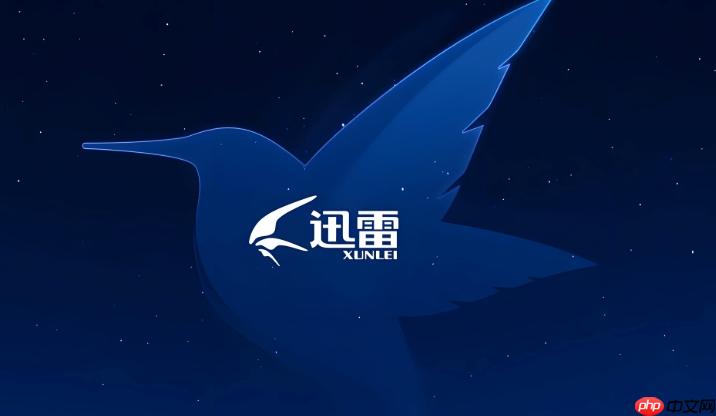 迅雷浏览器最新版网页入口 迅雷浏览器2024在线体验地址  第1张