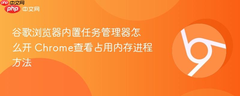 谷歌浏览器内置任务管理器怎么开 Chrome查看占用内存进程方法  第1张