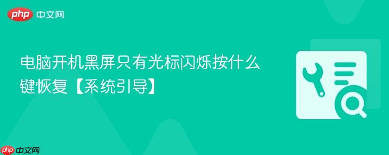 电脑开机黑屏只有光标闪烁按什么键恢复【系统引导】  第1张