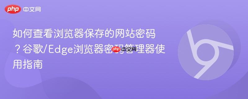 如何查看浏览器保存的网站密码？谷歌/Edge浏览器密码管理器使用指南  第1张