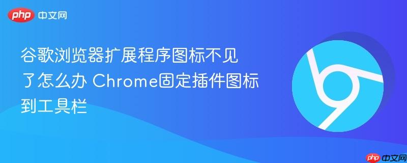 谷歌浏览器扩展程序图标不见了怎么办 Chrome固定插件图标到工具栏  第1张