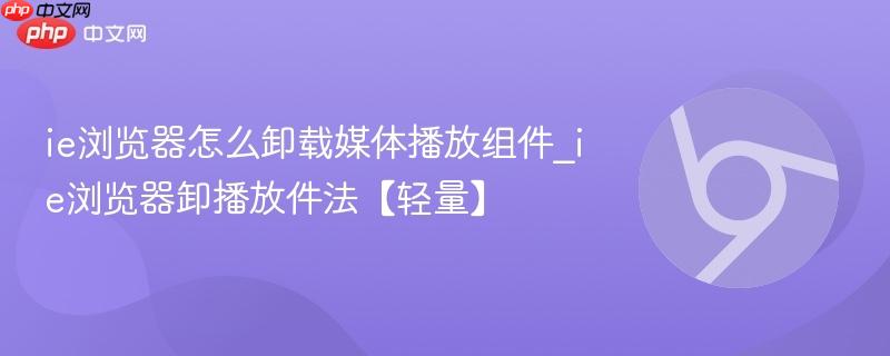 ie浏览器怎么卸载媒体播放组件_ie浏览器卸播放件法【轻量】  第1张