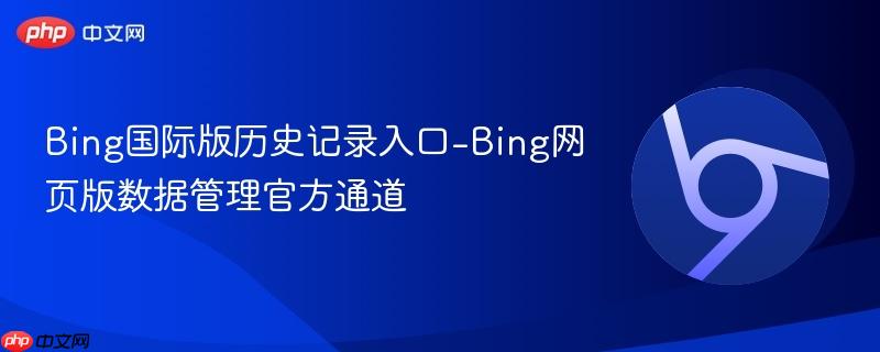 Bing国际版历史记录入口-Bing网页版数据管理官方通道  第1张