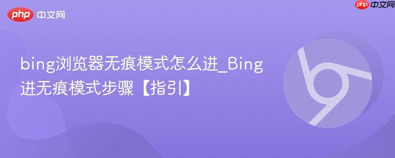 bing浏览器无痕模式怎么进_Bing进无痕模式步骤【指引】  第1张