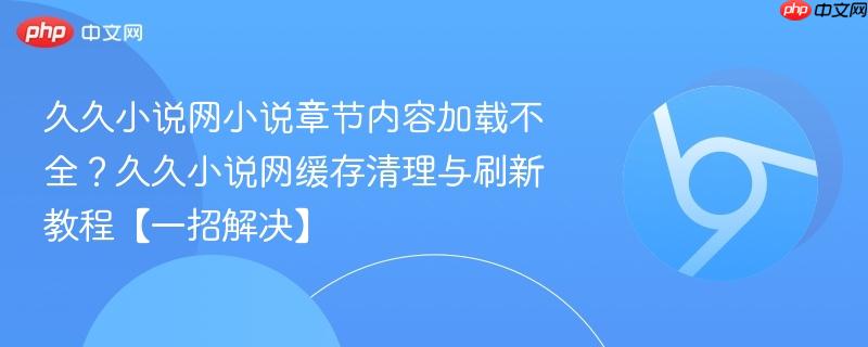 久久小说网小说章节内容加载不全？久久小说网缓存清理与刷新教程【一招解决】  第1张