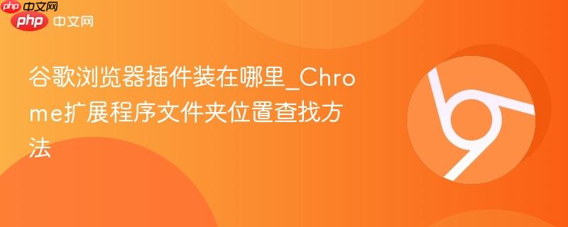 谷歌浏览器插件装在哪里_Chrome扩展程序文件夹位置查找方法  第1张