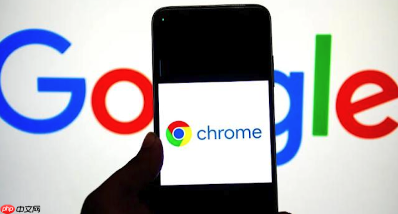 谷歌浏览器如何管理多账户 Google Chrome多账户管理教程  第1张