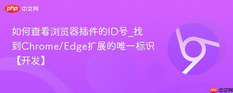 如何查看浏览器插件的ID号_找到Chrome/Edge扩展的唯一标识【开发】  第1张