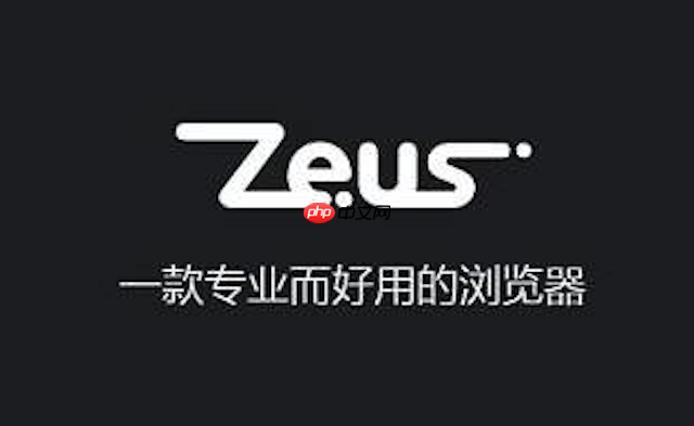 Zeus浏览器在线入口页面 宙斯浏览器官网快速通道  第1张