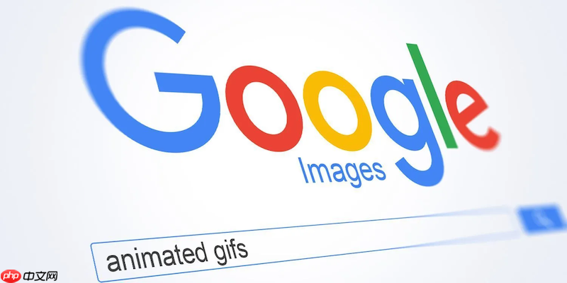 谷歌浏览器打不开PDF文件怎么办 谷歌浏览器PDF查看设置  第1张