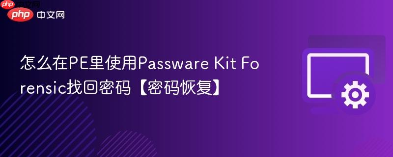 怎么在PE里使用Passware Kit Forensic找回密码【密码恢复】