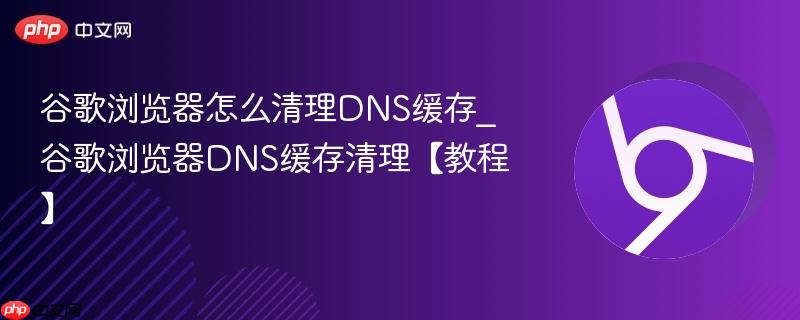 谷歌浏览器怎么清理DNS缓存_谷歌浏览器DNS缓存清理【教程】  第1张