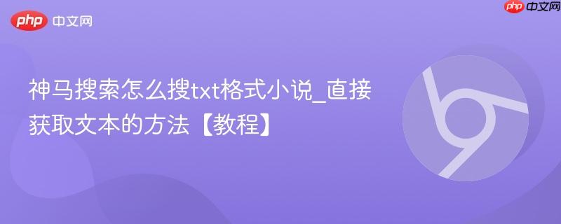 神马搜索怎么搜txt格式小说_直接获取文本的方法【教程】  第1张