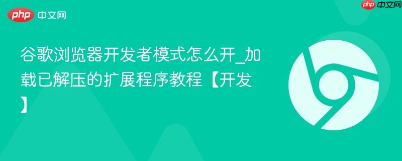 谷歌浏览器开发者模式怎么开_加载已解压的扩展程序教程【开发】  第1张