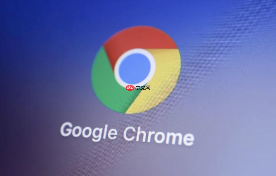 google官网入口网页版登录_Google官网网页版在线访问入口  第1张