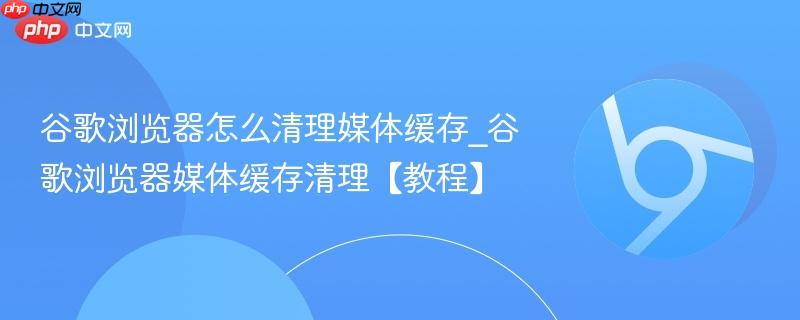谷歌浏览器怎么清理媒体缓存_谷歌浏览器媒体缓存清理【教程】  第1张