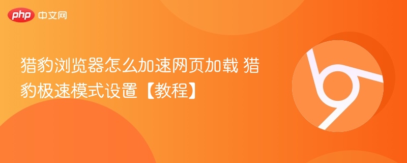 猎豹浏览器怎么加速网页加载 猎豹极速模式设置【教程】  第1张