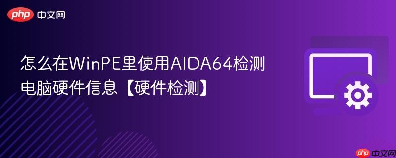 怎么在WinPE里使用AIDA64检测电脑硬件信息【硬件检测】  第1张
