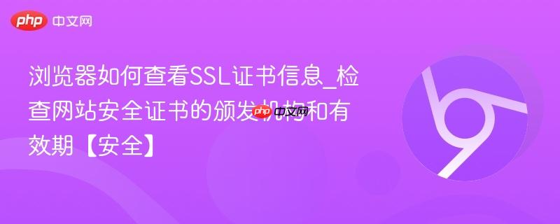 浏览器如何查看SSL证书信息_检查网站安全证书的颁发机构和有效期【安全】  第1张