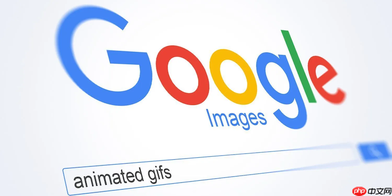 google官网入口网址_Google官网首页快速访问入口地址  第1张