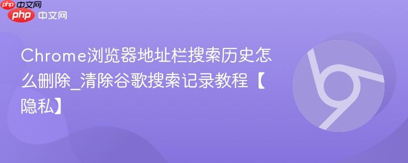 Chrome浏览器地址栏搜索历史怎么删除_清除谷歌搜索记录教程【隐私】  第1张