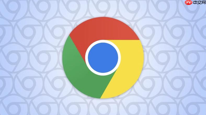 google浏览器网址是多少_Google Chrome浏览器官网网址详解  第1张