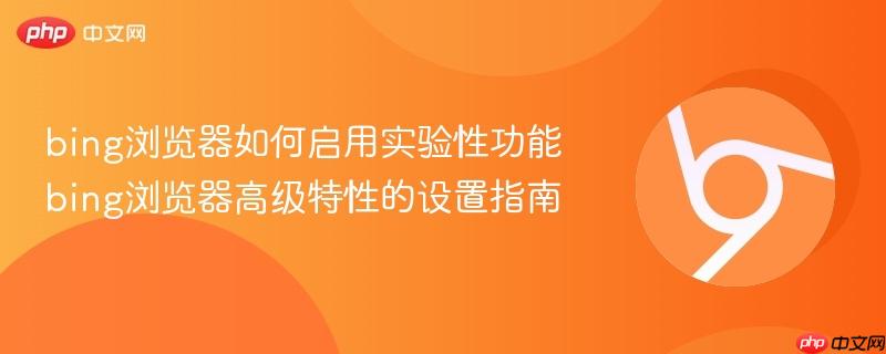 bing浏览器如何启用实验性功能 bing浏览器高级特性的设置指南  第1张