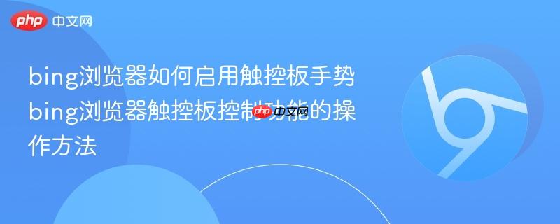 bing浏览器如何启用触控板手势 bing浏览器触控板控制功能的操作方法  第1张