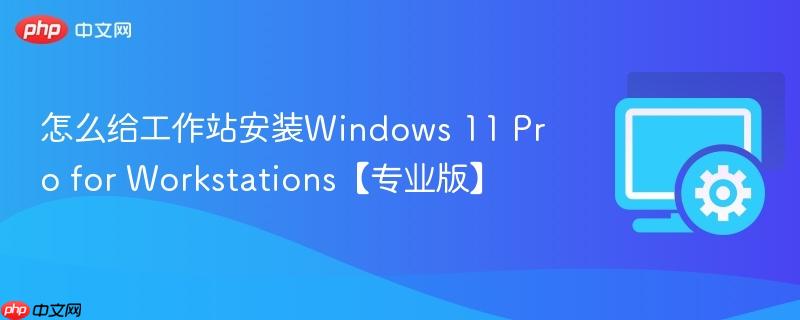 怎么给工作站安装Windows 11 Pro for Workstations【专业版】  第1张