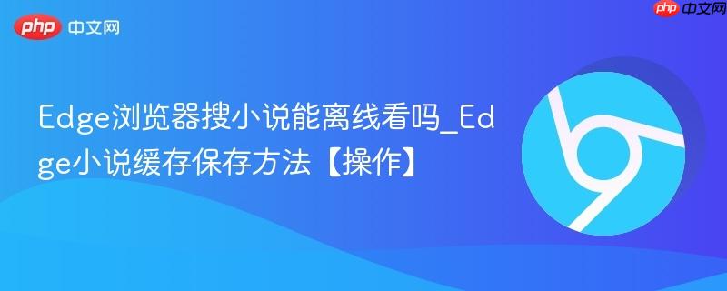 Edge浏览器搜小说能离线看吗_Edge小说缓存保存方法【操作】  第1张