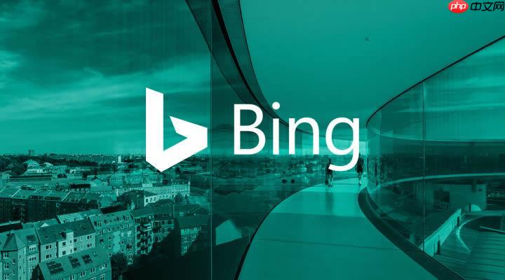 BING搜索引擎怎样用地图搜索_BING地图搜索定位与路线规划【攻略】  第1张