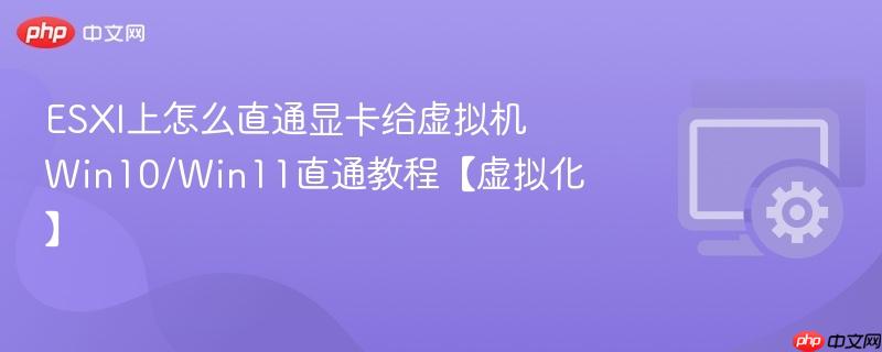 ESXI上怎么直通显卡给虚拟机 Win10/Win11直通教程【虚拟化】
