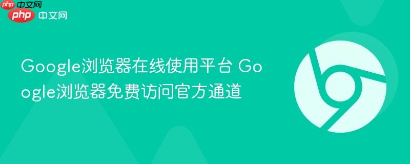 Google浏览器在线使用平台 Google浏览器免费访问官方通道  第1张