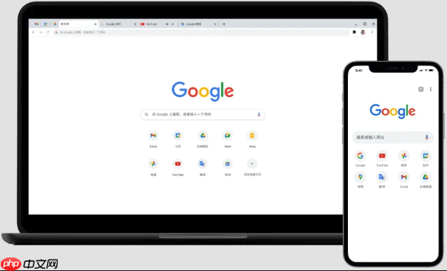 google浏览器手机版怎么下_谷歌Chrome安卓手机版官方下载入口  第1张