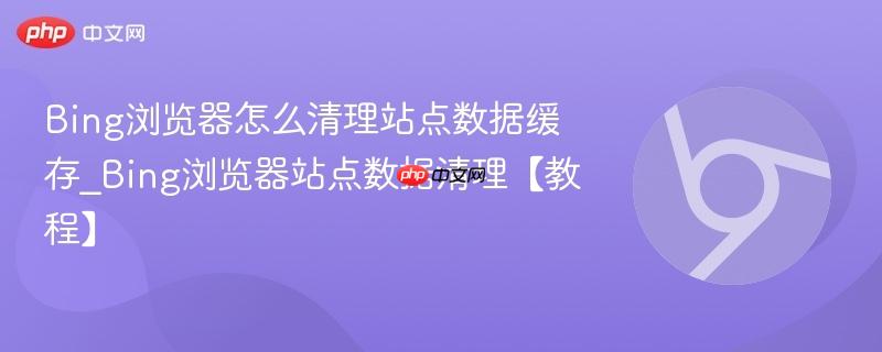 Bing浏览器怎么清理站点数据缓存_Bing浏览器站点数据清理【教程】  第1张