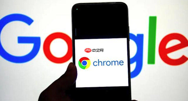 谷歌浏览器如何更改首页设置 Google Chrome首页设置教程  第1张