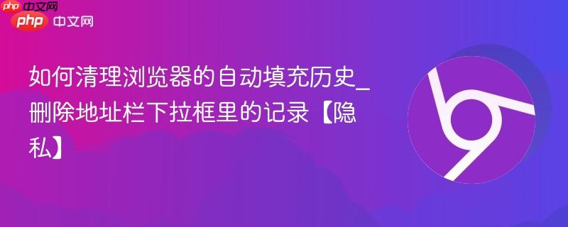 如何清理浏览器的自动填充历史_删除地址栏下拉框里的记录【隐私】  第1张